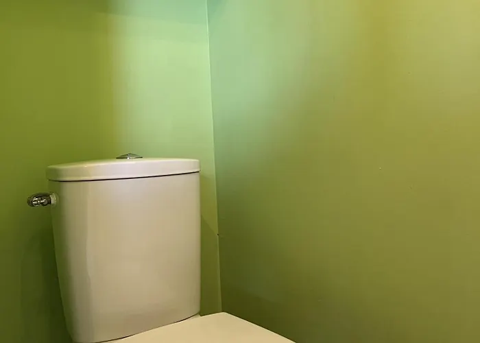 Physalis * Les Sables-dʼOlonne