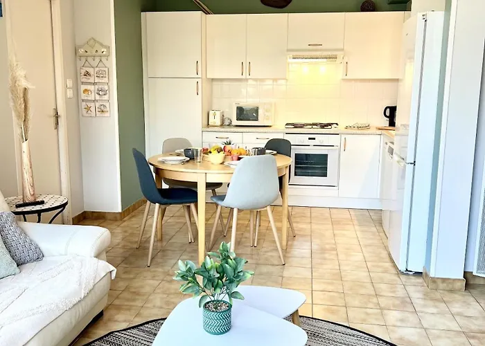 Physalis Les Sables-dʼOlonne